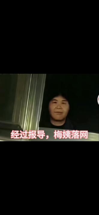 愿天下无拐,每个孩子都能平安回家#梅姨 #梅姨拐卖儿童