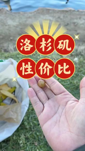 美国房子太贵。?? #LA小牛