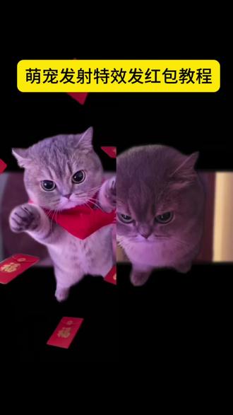 萌宠发射特效教程 萌宠飞出屏幕特效,萌宠发射特效,猫咪发射特效教程无限飞弹猫咪玩法 猫吓一跳被吓飞弓箭特效 宠物飞起特效猫咪炮弹特效教程 猫咪炮弹特效 猫咪炮弹可爱瞬间 猫咪
炮弹原视频 发射特技教程视频猫 猫咪发射 萌宠发射技巧
炮弹特效教程#剪映#萌宠发射特技#猫咪炮弹#小猫炮弹#小飞猫来了 猫咪导弹发射 小猫炮弹特效 猫咪炮弹教程 小猫炮弹教程剪辑 猫猫起飞视频怎么拍 猫咪炮弹搞笑视频
猫咪炮弹行沩 猫咪发射视频 猫咪炮弹剪辑教程 猫咪炮弹可爱瞬间 猫咪炮弹剪辑技巧 猫咪发射特技教程视频9小时