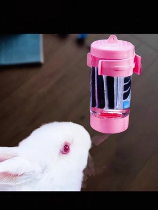 郝邵文推荐兔子饮水器滚珠用品宠物荷兰猪金丝熊仓鼠自动喝水器喂水器喝水壶#兔子饮水器 #宠物饮水机 #宠物喂水器 #喂水器 #宠物饮水器