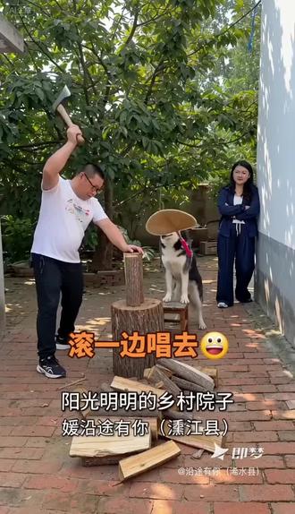 #狗扇蒲扇驴唱歌 #即梦AI 死驴滚一边唱去