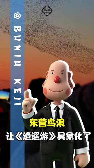 鹏之徙于南冥也,水击三千里,抟扶摇而上者九万里 #大美东营 #逍遥游 #鸟浪 #鸟类实拍