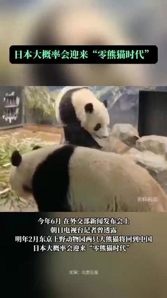 日本大概率会迎来“零熊猫时代”