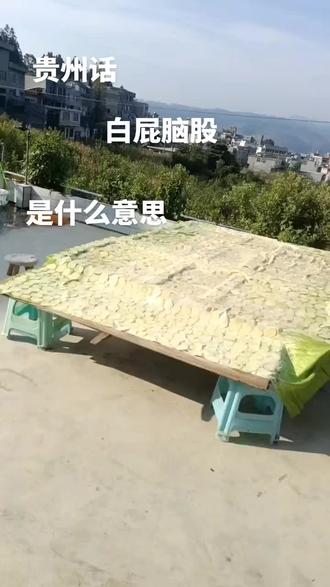 贵州话,白屁脑般是什么意思😀😀😀😀😀