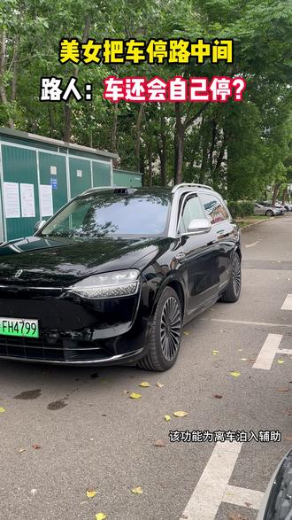 用问界M9的辅助泊车震惊路人!#问界 #问界M9 #停车黑科技