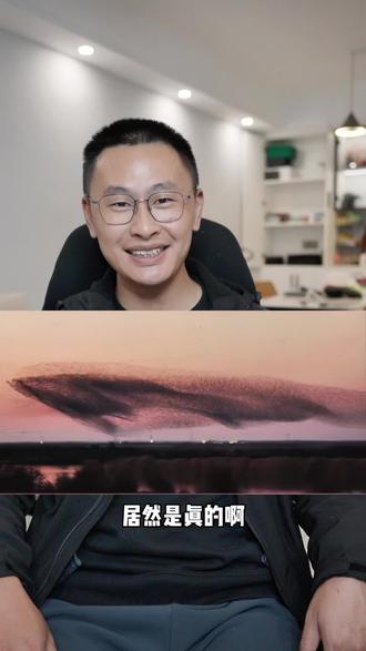 北冥有鱼居然是真的,好想去山东东营现场看看!#北冥有鱼其名为鲲 #山东东营 #自然奇观 #候鸟迁徙 #保护野生动物