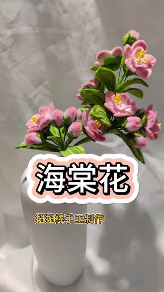 海棠花未眠。#海棠花 #扭扭棒花束 #扭扭棒海棠花 #手工花束 #春天的花