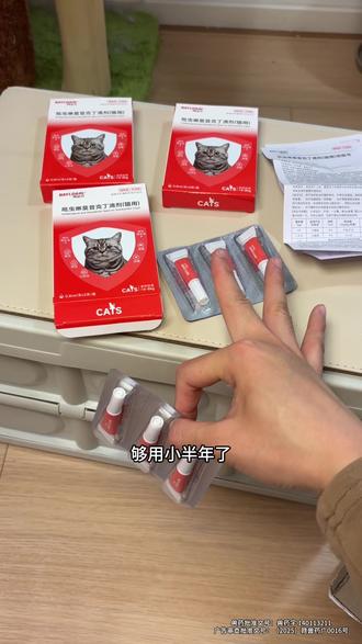 天气回暖,驱虫就得抓紧做!!否则咬的小猫直难受还和它抢营养!#养猫经验分享 #拜达尔 #科学养宠攻略 #新手养猫