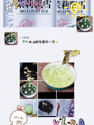 【5A特级茉莉飘雪】正宗茉莉花茶 2025新茶浓香型茉莉飘雪绿茶花茶#巧乐兹让我来唱 #花茶养生 #快来一起尝个鲜 #茉莉花茶 #纯天然无添加