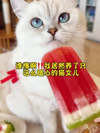 小西米是只淘气喵