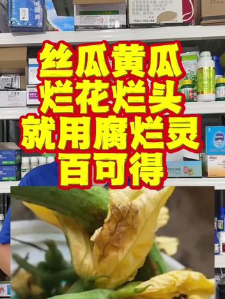 烂花烂柱就在点花水里加上腐烂灵和百可得! #腐烂灵 #顶腐果腐康#百可得 #德平农资