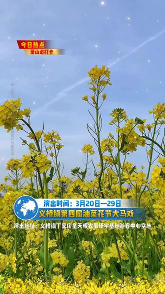 🎊花海遇马戏,欢乐不打烊!萧山区义桥镇第四届油菜花节3月20日正式开演🎠,吊环、绸舞等十余项精品节目惊艳亮相,惊险刺激又唯美浪漫,全家出游打卡首选地,一起邂逅最美义桥🌼!#义桥镇大马戏 #周末去哪玩 #亲子游玩好去处 #义桥镇吃喝玩乐 #马戏团 @DOU+上热门 @DOU+小助手