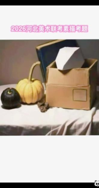 2026年河北美术联考素描考题分析