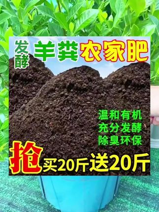 #三农种植 #三农 #种植小技巧 #有机肥 #羊粪有机肥