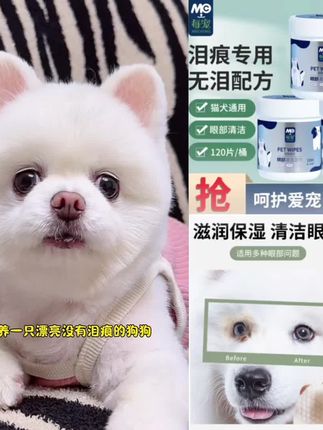 养宠必备每宠宠物眼部擦泪痕去除眼屎湿巾养幼猫咪狗比熊博美清洁#养狗经验分享 #萌宠好物 #去眼屎湿巾 #比熊