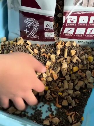 (爆款推荐)10斤猫粮三文鱼成猫5斤猫粮营养美味成猫凯贝尔猫粮