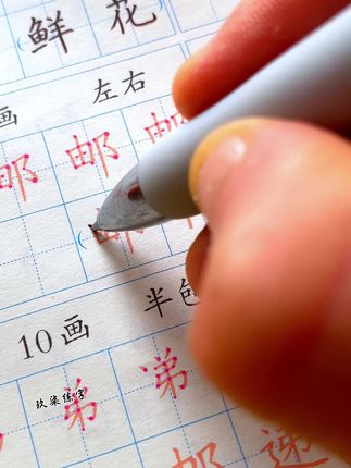 规范字书写 #练字 #规范字书写 #小学语文 #练字帖