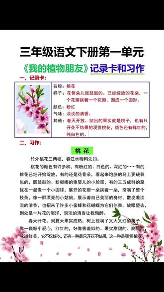 #三年级 第一单元我的植物朋友,就要写300字作文了用这本#同步作文 边阅读边学习优秀作文的写作手法,不怕写不好作文了。#作文范文 #小学语文#作文素材