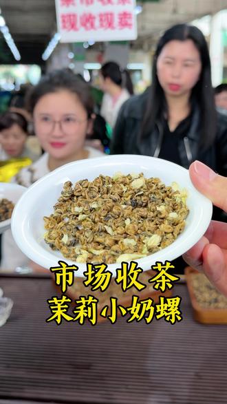 绝嫩的牙尖茉莉小奶螺,颗颗都是金芽级别#红茶 #茶 #花茶 #爱喝茶的关注我 #召唤茶友