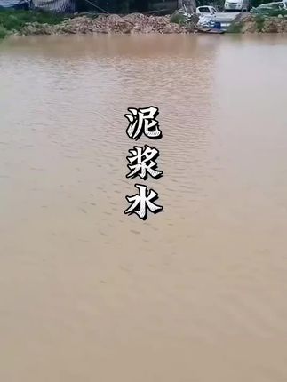 #水产养殖#水产养殖技术#水产人#鱼虾蟹养殖