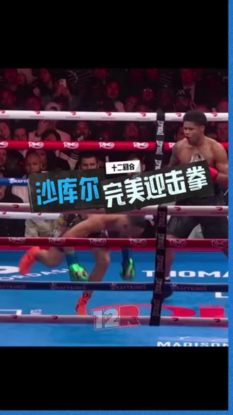 沙库尔史蒂文森的完美迎击拳,沙库尔史蒂文森vs特奥菲莫洛佩兹 #沙库尔史蒂文森 #特奥菲莫洛佩兹 #拳王 #拳击教学 #十二回合拳击俱乐部