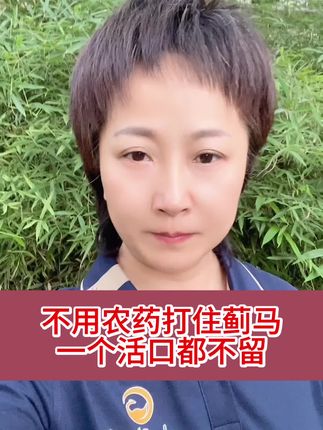 谁说蓟马不好打,那是没用这个方法#蓟马 #蓟马防治 #佰蓟晴