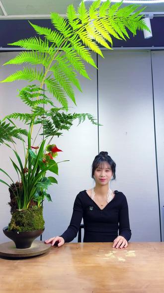 禅意绿植凤尾蕨 #蕨类植物#茶室#水培植物#绿植花卉 #苔藓球