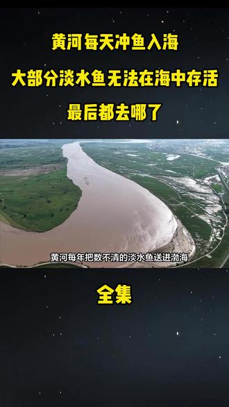 黄河每天冲鱼入海,大部分淡水鱼无法在海中存活,最后都去哪了#科普#科普一下#大国重器#大国崛起#黄河