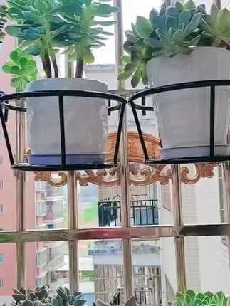 护栏种花怕积水?镂空挂篮设计排水快,植物不烂根越长越旺#爱生活爱养花 #阳台种植 #家庭种植 @DOU+小助手 @DOU+好生意