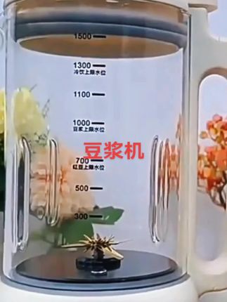 #上热门话题🔥🔥🔥 #豆浆机破壁机 #厨房好物 #营养早餐 #五谷杂粮