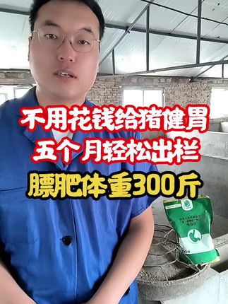 不花钱,直接给猪健胃!#育肥猪#肥猪#养猪人