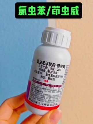 #助农帮农常识 #氯虫苯茚虫威#茚虫威氯虫苯#肉虫 #农业种植