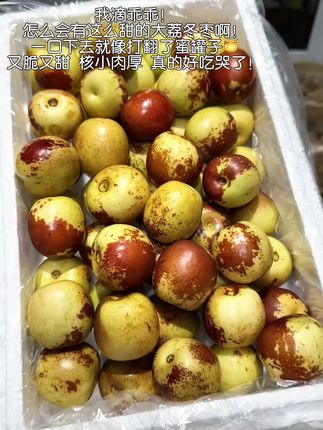 我滴乖乖!怎么会有这么甜的大荔冬枣啊!一口下去就像打翻了蜜罐子🍯又脆又甜 核小肉厚 真的好吃哭了!#冬枣 #新鲜采摘 #大荔冬枣 #快来一起尝个鲜 #脆甜多汁