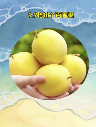 【9.9到手48个】纯甜的钦蜜9号黄金百香果,果香浓郁,纯甜不酸,果肉饱满,一口爆汁,拿来直接吃、泡水、做水果茶真的绝了!#钦蜜9号百香果 #黄金百香果 #百香果 #口感特别好 #好吃到停不下来