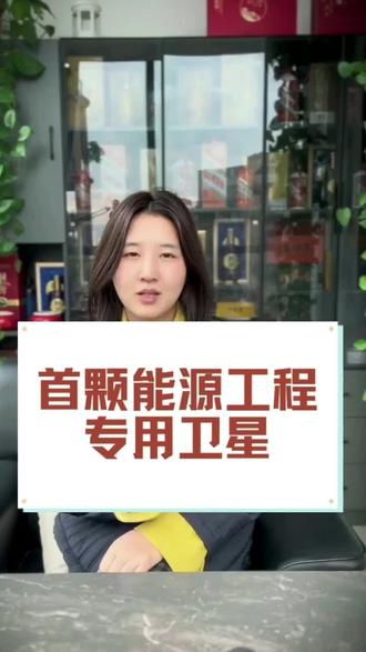 我国首颗能源工程专用卫星电建一号今日下线#卫星 #工程建设 #新闻热点 #国家发展 #泸州保函