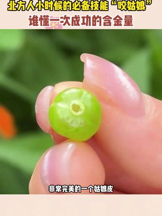 北方人小时候的必备技能“咬姑娘” #姑娘果 #生鲜 #水果