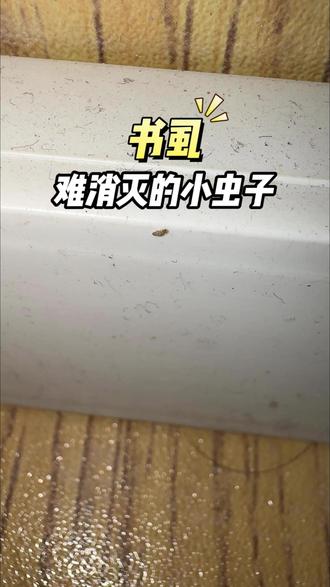 木床滋生了很多书虱,书虱会蛀食木头吗?有人发现木床出现这种头小肚大的小虫子,仔细看越看越多,这小虫子叫书虱,是一种潮湿滋生的虫子,它主要以霉菌为食,也会吃含有淀粉的物品,潮湿的时候容易滋长霉菌,书虱也很容易就被滋生出来,书虱没有强大的口器啃咬木头,这点不用担心书虱啃咬木头。只是更重要的一点就是书虱如果在床上滋生会留下细菌、排泄物,皮肤敏感的人容易引起过敏,鼻炎症状可能还会加重,家里出现书虱,推荐用滞留型杀虫剂喷洒在木床周围,残留药膜让书虱无法滋生,杀虫剂无色无味
#书虱 #床上小虫子 #书虱怎么消灭 #书虱的危害 #书虱怎么样才能除干净
