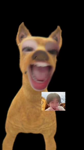 我嗑得好痴呆呀#奇文 #气温 #带感 #分享