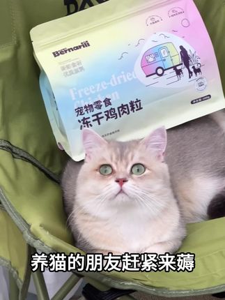 #养猫新手 #宠物零食 #科学喂养