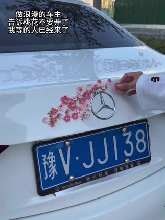 给爱车贴上浪漫的桃花车贴,做一个浪漫的车主#车贴 #浪漫 #桃花 #桃花车贴 #车饰