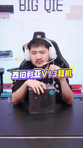 西伯利亚性价比游戏耳机,电竞老品牌,7.1环绕声,50厘米驱动单元,降噪麦克风,该有的配置都有,专业电竞耳机就选它 #游戏耳机#电竞耳机 #西伯利亚耳机 #fps游戏 #学生党