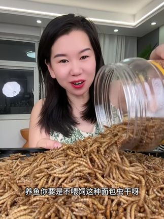 #鱼粮#面包虫干#厂家直发品质保证