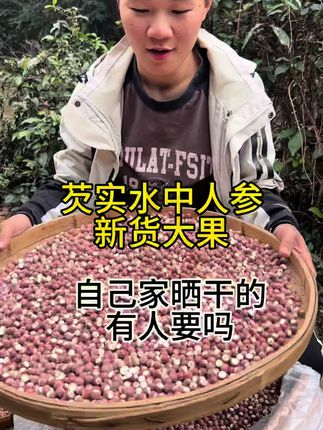 这个不是红莲子,芡实自己家晒干的大果不熏硫没有添加 #抖音助农扶农 #芡实#鸡头米
