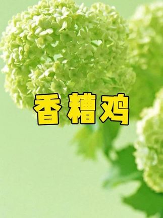 宁波特产#香糟鸡#味道鲜美好吃#小黄车直接购买