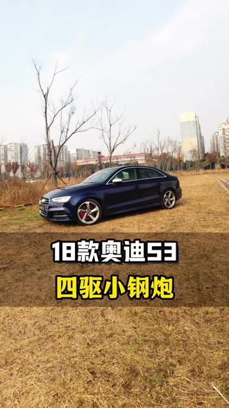 年轻人的第一台性能车必须选它#奥迪S3 #性能车 #奥迪