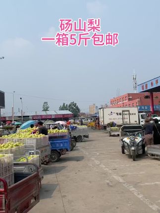 砀山梨好喜欢