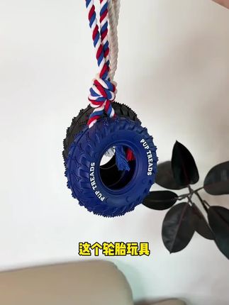 玩法超多的小狗玩具 小狗根本玩不腻 特别能消耗小狗精力#宠物玩具 #超耐咬狗狗玩具 #科学养宠攻略 #小狗玩具