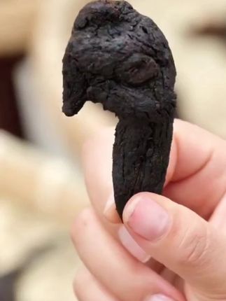 九蒸九晒黄精,软糯细腻,甘润可口,肉感满满,咀嚼无渣,可以直接吃,也可以煲汤煮茶泡水喝,坚守初心,遵循古法,匠心炮制!#强烈推荐 #山货 #传统工艺 #九蒸九晒#黄精