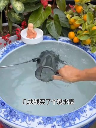 #长嘴浇水壶 #浇水壶 #养花浇水壶 #浇水壶推荐 #养花浇浇水