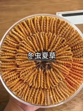 西藏那曲天然野生冬虫夏草,自己吃或送礼都非常好#西藏冬虫夏草 #那曲冬虫夏草 #新干虫草 #送礼佳品